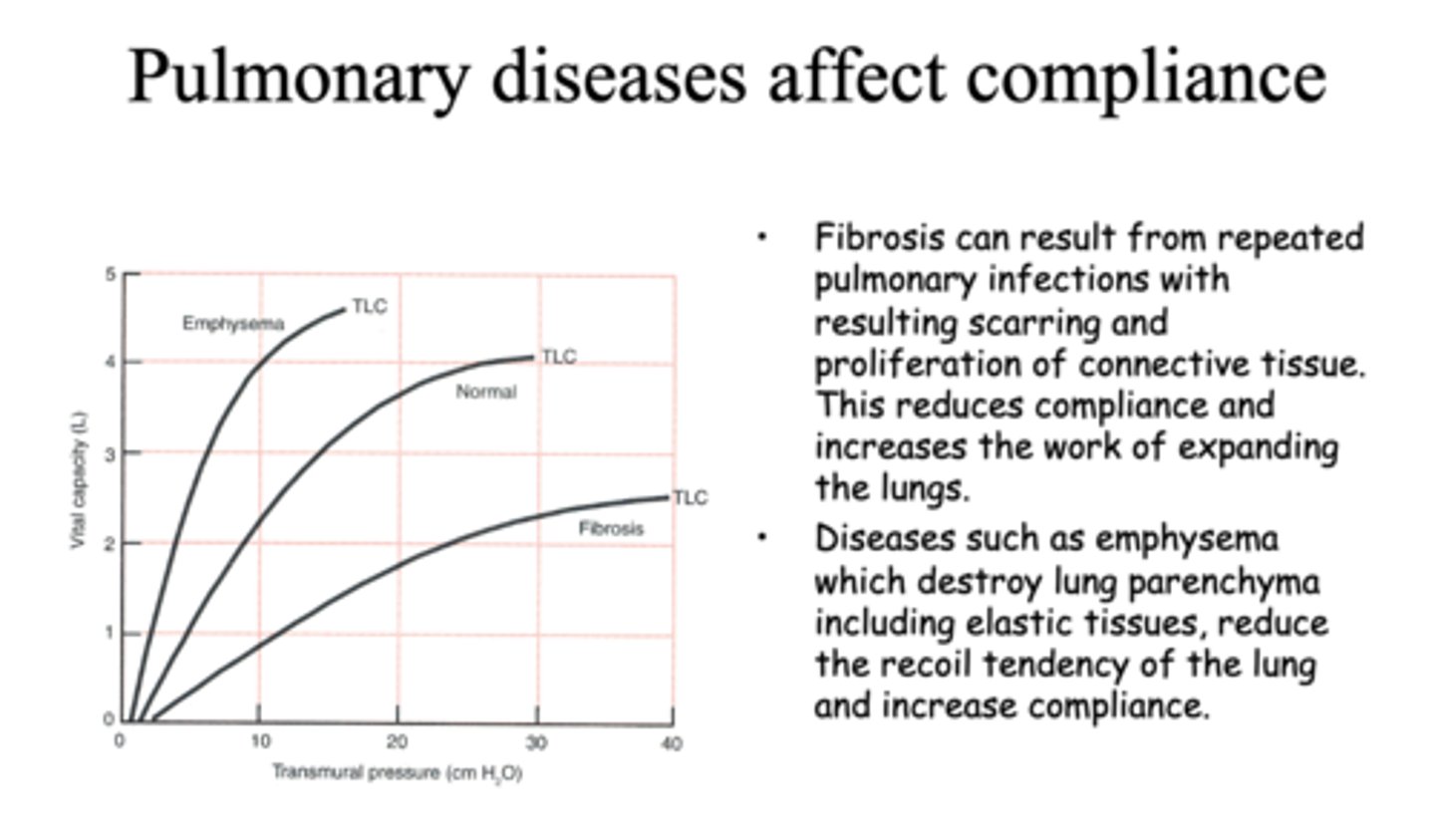 <p>emphysema</p>