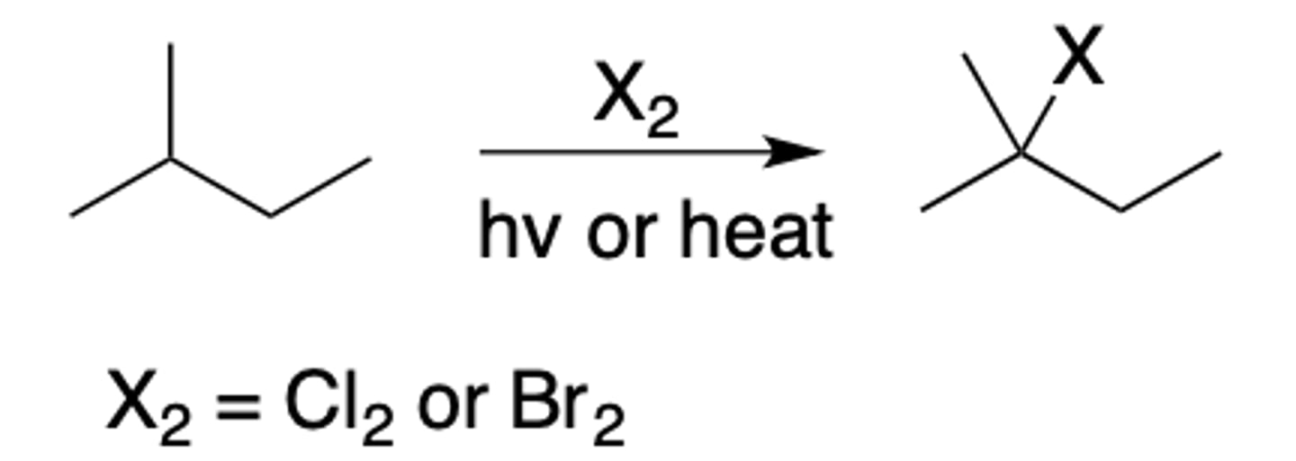 <p>Intermediate: Radical</p><p>Regiochemistry:</p><p>- Cl2 low selectivity</p><p>- Br2 high selectivity</p><p>Stereoselectivity: none</p><p>- Reagent(s): X2 over hv (light) or heat</p><p>- Adds X to most (Br2) or least (Cl2) substituted</p><p>*KNOW MECHANISM*</p>