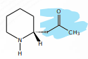<p>[Alkaloids Compounds] What piperidine alkaloids is this</p>