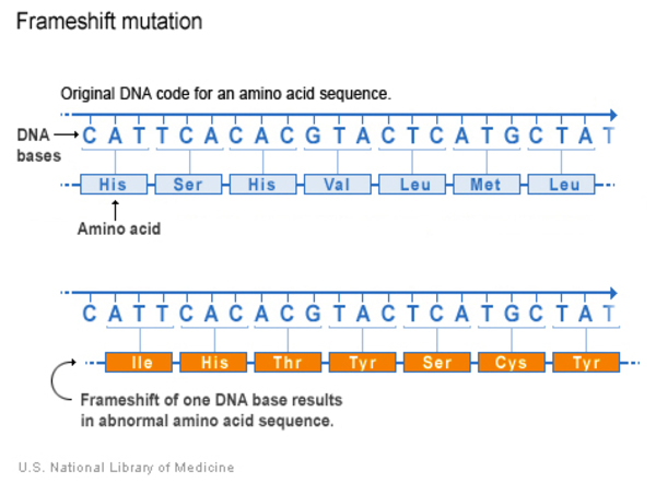 <p>sequence</p>