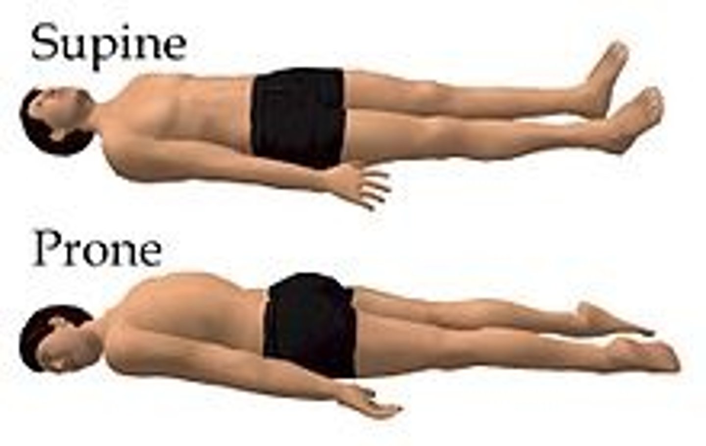 <p>supine: face up</p><p>prone: face down</p>