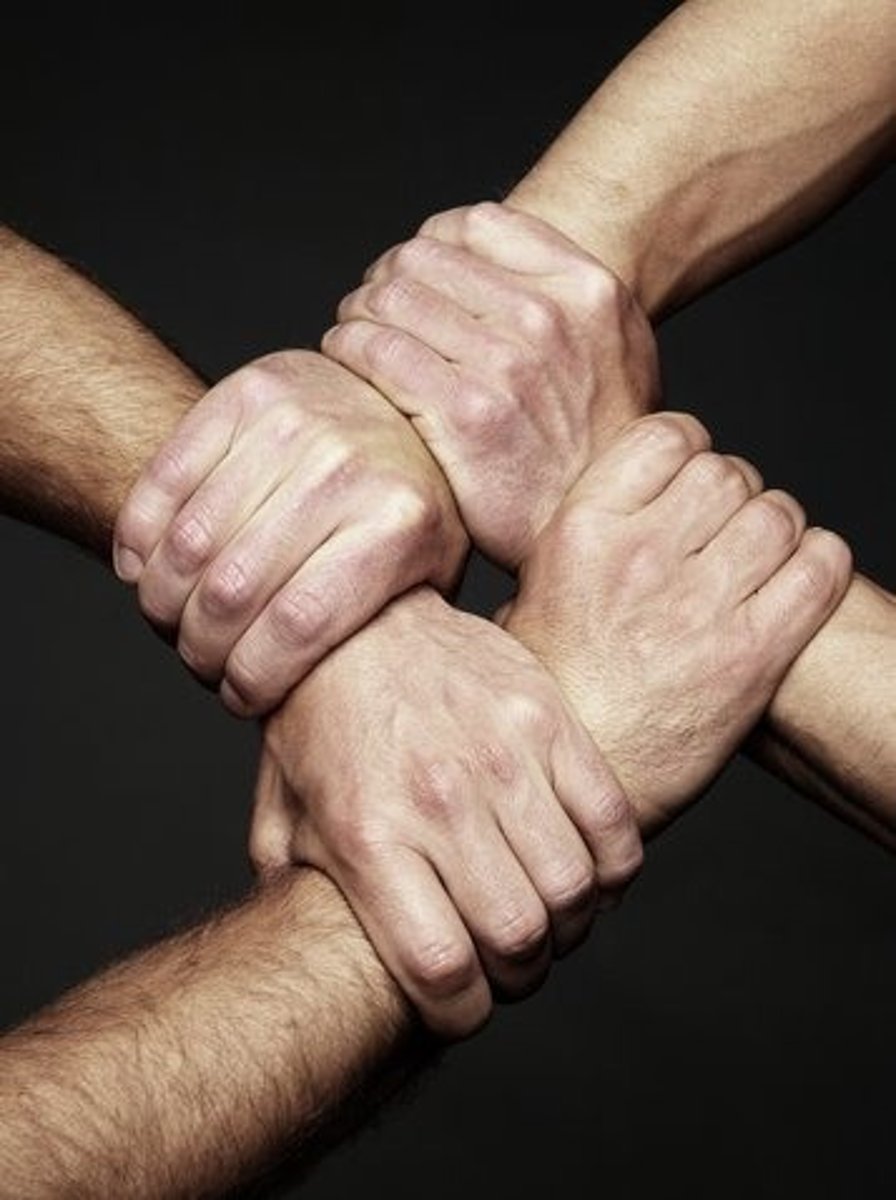 <p>the act of working together</p>