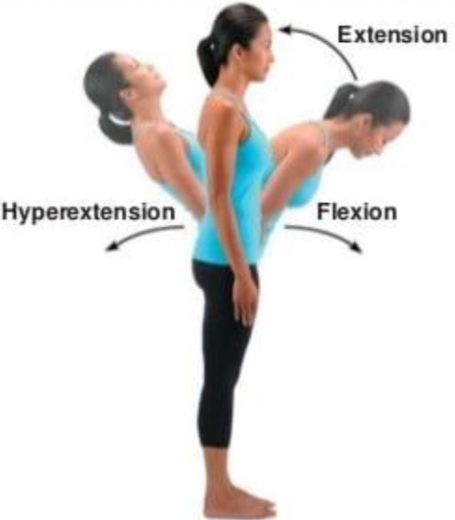 <p>Extension</p>
