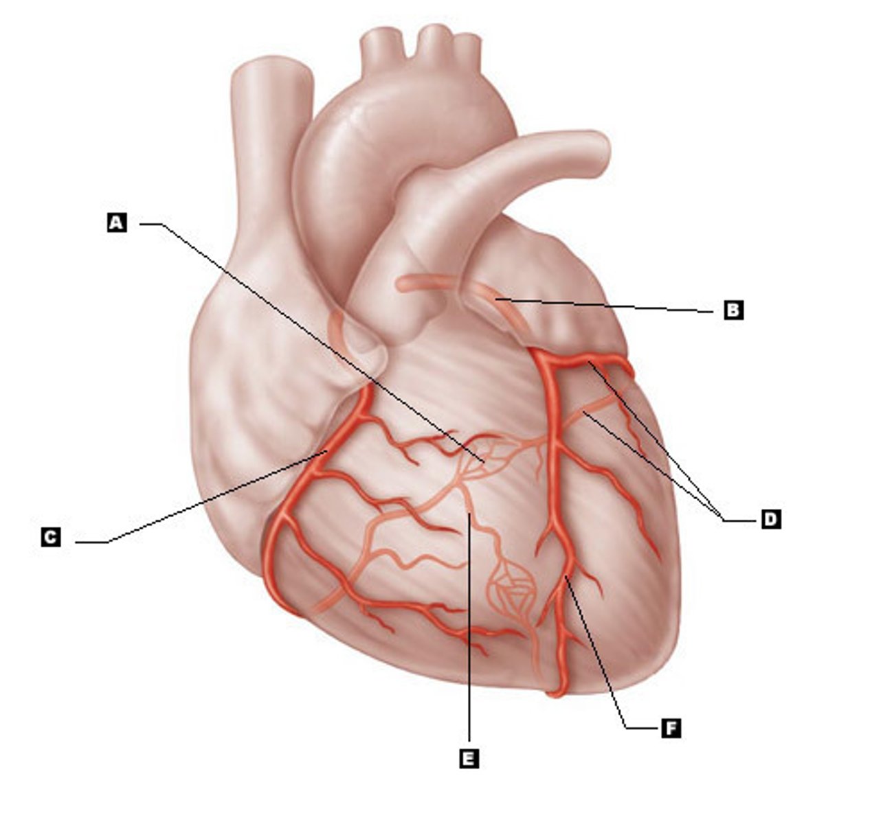 <p>what is B?</p>