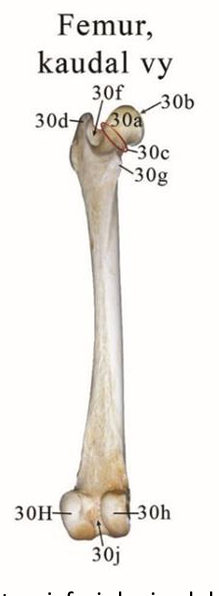 <p>Vad är 30H?&nbsp;</p>