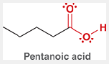 <p>pentanoic acid (pictured)</p>