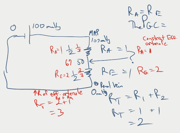 resistance, pressure, flow in glomerulus (pt. 2)