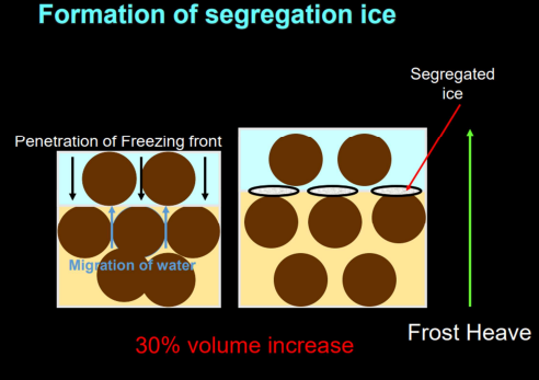 <p> Where as sediment freezes, water can be attracted to the freezing front and form bands or layers of clear ice. This can result in up to 30% volume increase resulting in frost heaving</p>
