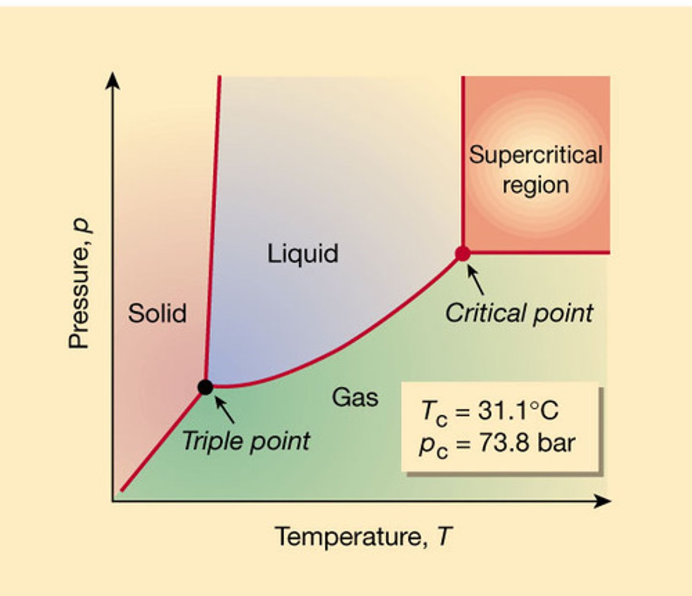 <p>liquid and gas coexist</p>