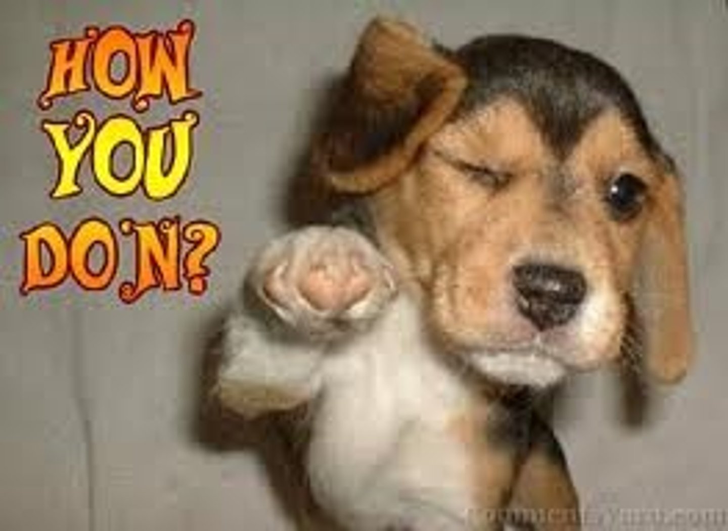 <p>How are you? (Informal)</p>
