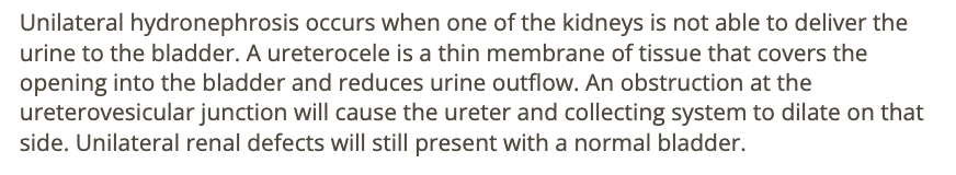 <p>b) nonvis of the bladder</p>