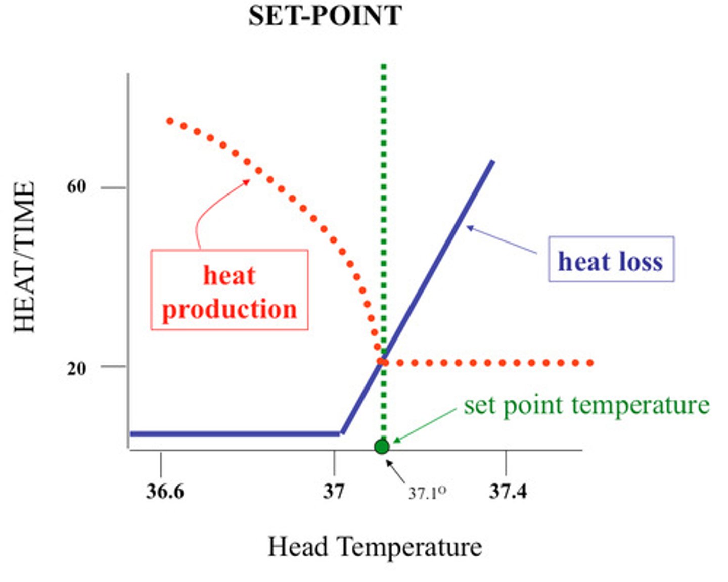 <p>the point at which one's body tries maintain</p>