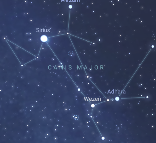 <p>Constellation</p><ul><li><p>Sirius</p></li></ul><p></p>