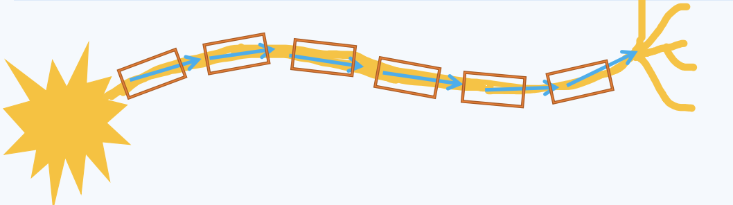 <p>The electrical signal travels down the axon and myelin insulates the axon to keep the electrical signal travelling down the axon path</p>