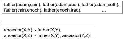 <p>… allows to define patrilineal ancestorship:</p>