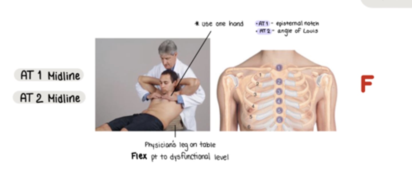 <p>F</p><p>located @ episternal notch</p>