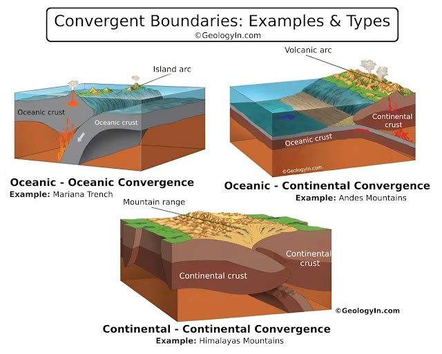 <p>A plate boundary where two plates move toward each other.</p>
