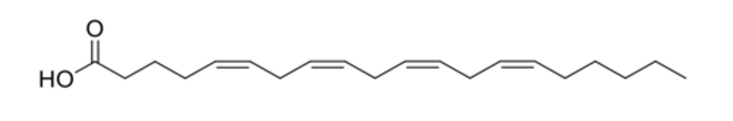 <p>- Contain double bonds.</p><p>- Almost exclusively Cis (Z) isomers.</p>