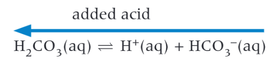 <p>Carbonic acid </p>