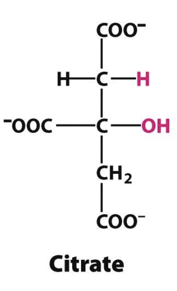 <p>Unimportant metabolic signals: high [ATP] inhibits enzyme, low [ATP] stimulates it/ pH can regulate PFK, lactate isn’t produced in the liver</p><p>☆ <strong>citrate</strong>, a building block for biosynthesis, inhibits liver PFK by enhancing ATP inhibition (when abundant)</p>