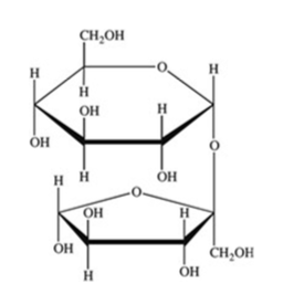 <p>How many acetals are present in the disaccharide shown?</p><ul><li><p>1</p></li><li><p>2</p></li><li><p>3</p></li><li><p>4</p></li></ul><p></p>