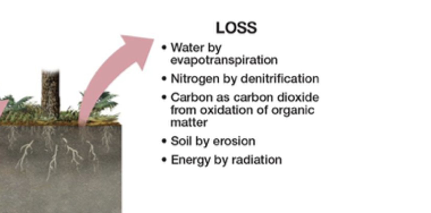 <p>Losses remove material from soil through nutrient leaching (like NO₃⁻ being washed out by water) and erosion (downslope removal of fine particles, leaving soil coarser and sandier).</p>