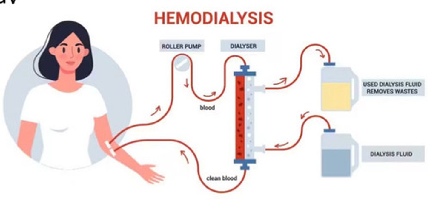 <p>What does this image show</p>