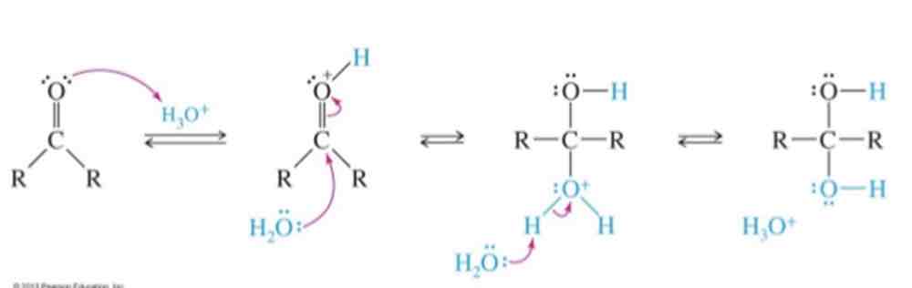 <ul><li><p>Hydration occurs through nucleophilic addition </p></li><li><p>With water or a hydroxide serving as a nucleophile</p></li></ul>