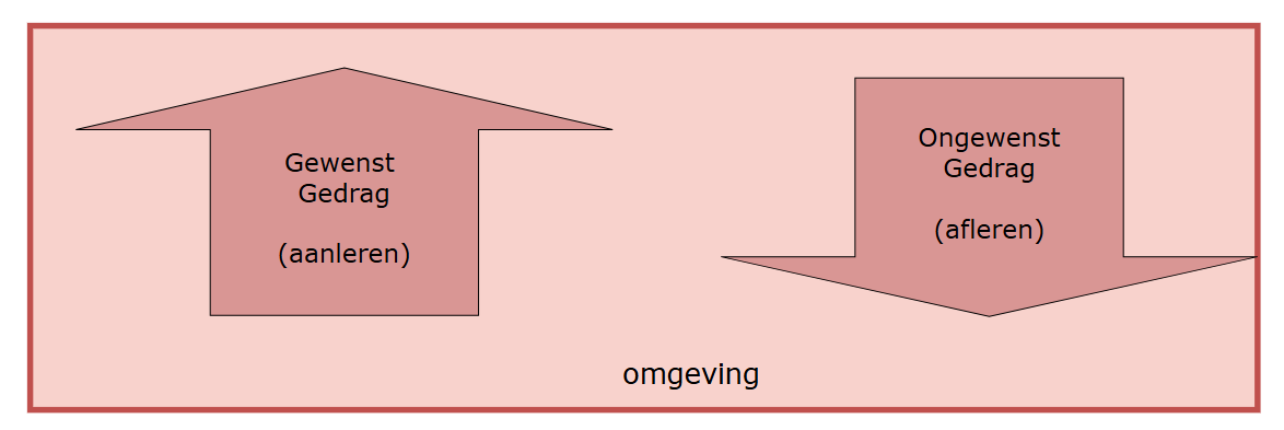 <ol><li><p>Aanleren van vaardigheden</p></li><li><p>Manipuleren van antecedenten en consequenten</p></li></ol><p></p>