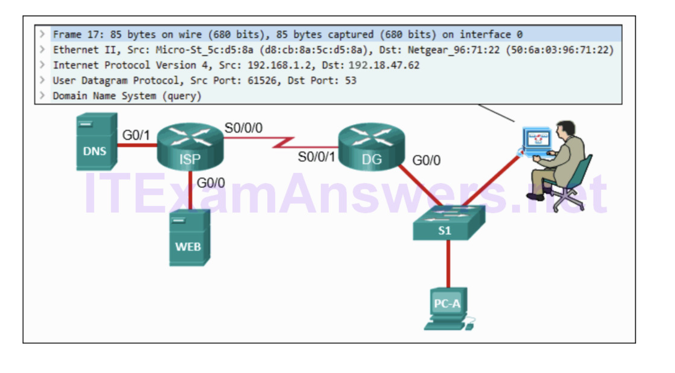 <p><strong>Refer to the exhibit. A cybersecurity analyst is viewing captured packets forwarded on switch S1. Which device has the MAC address 50:6a:03:96:71:22?</strong></p><ul><li><p>PC-A</p></li><li><p><span>router DG</span></p></li><li><p>DSN server</p></li><li><p>router ISP</p></li><li><p>web server</p></li></ul><p></p>