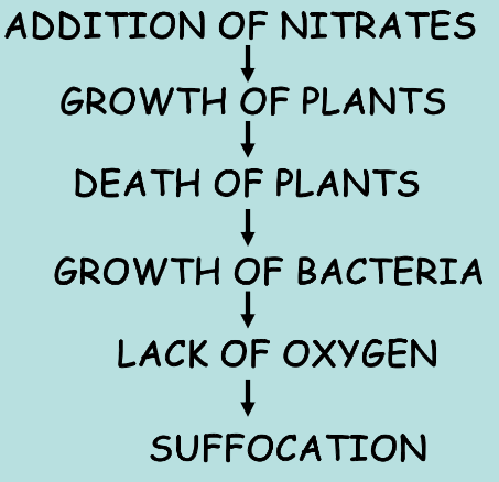 <p><strong><span>Scientific Definition</span></strong><span>: A process by which a body of water progresses from its origin to its extinction. This process happens in stages(image). When lakes, streams and estuaries are over fertilized, excessive production of aquatic organic matter can become a water quality problem and as a result the eutrophication process can be enhanced.</span></p>
