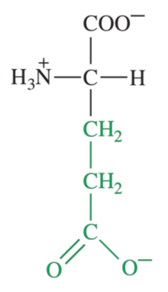 <p>What amino acid is shown in the image?</p>