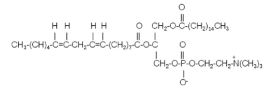 The lipid structure below is best classified as