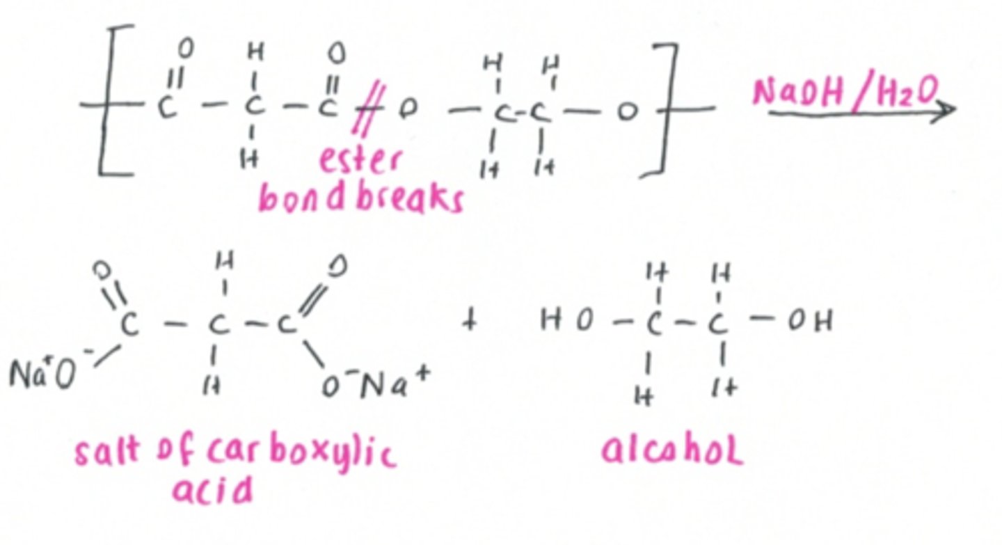 <p>condensation polymer formed from the reaction between dicarboxylic acids (or derivatives such as acyl chlorides) and diols. The carboxyl (-COOH) and hydroxyl (-OH) groups react</p><p>forms water as byproduct</p>
