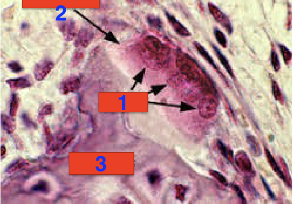 <p>1?</p>