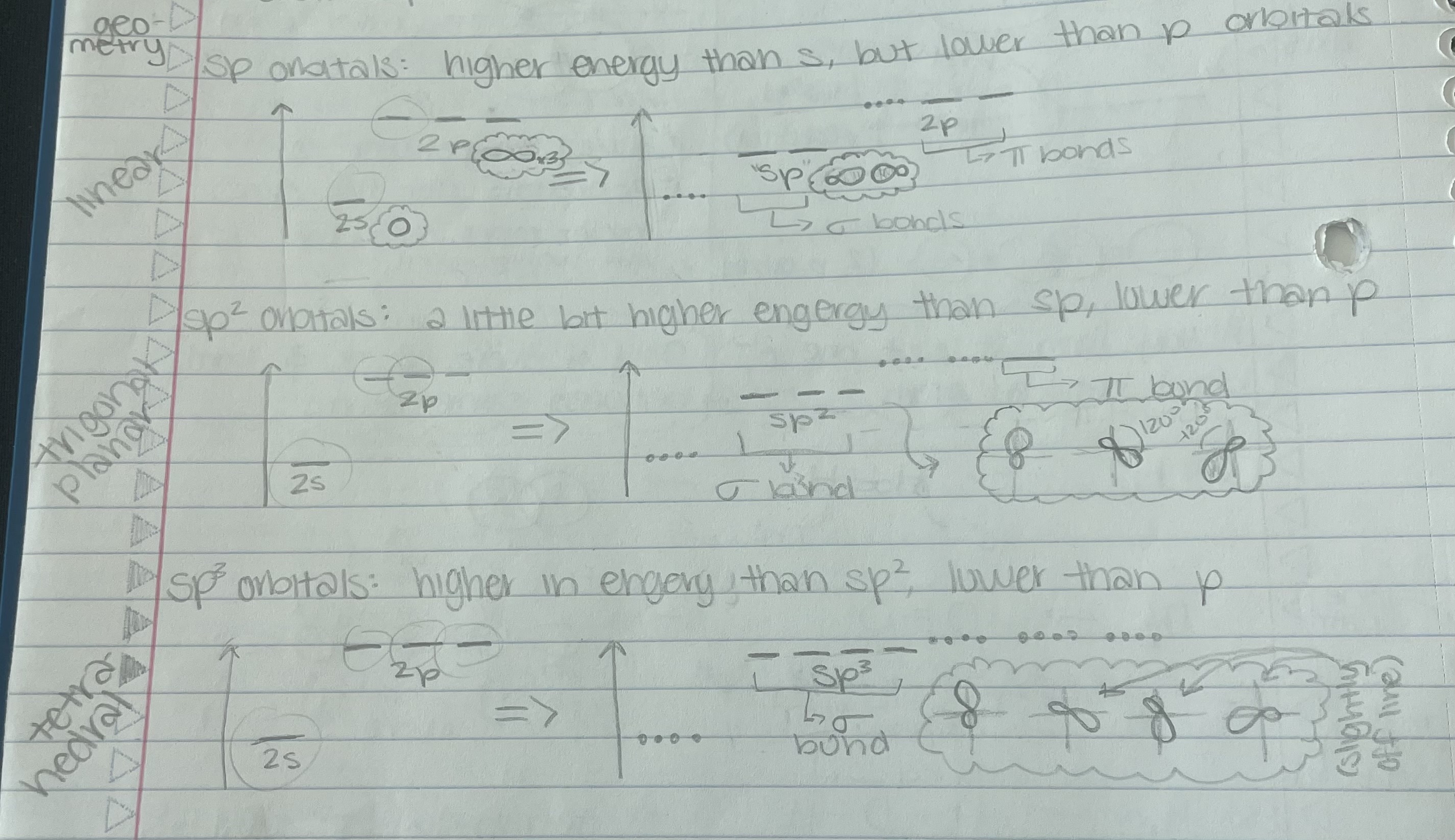 <p>sp orbitals, sp² orbitals, sp³ orbitals </p><ul><li><p> orbital = 1s + 1p = 2sp orbital </p></li><li><p>sp² orbital = 1s + 2p = 3sp² orbital </p></li><li><p>sp³ orbital = 1s + 3p = 4sp³ orbital </p></li></ul><p>*orbitals put in = orbital put out </p><p>*look for number of electron groups 2 groups = sp, 3 groups = sp², 4 groups = sp³ </p><p></p>