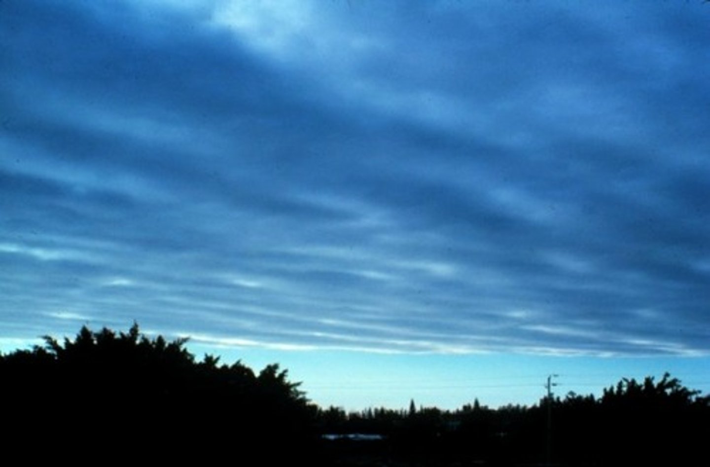 <p>sheets or layers that cover much of the sky</p><p>1 multiple choice option</p>