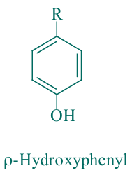 <p>p-Hydroxyphenyl (H) unit</p>