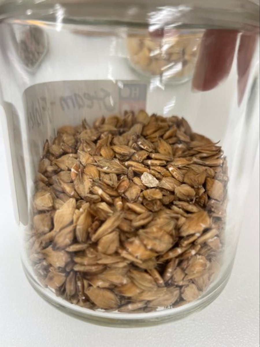 <p>- IFN #/Category (4) high energy concentrate</p><p>- AAFCO Category - grain product</p><p>- Feed Type - general</p>