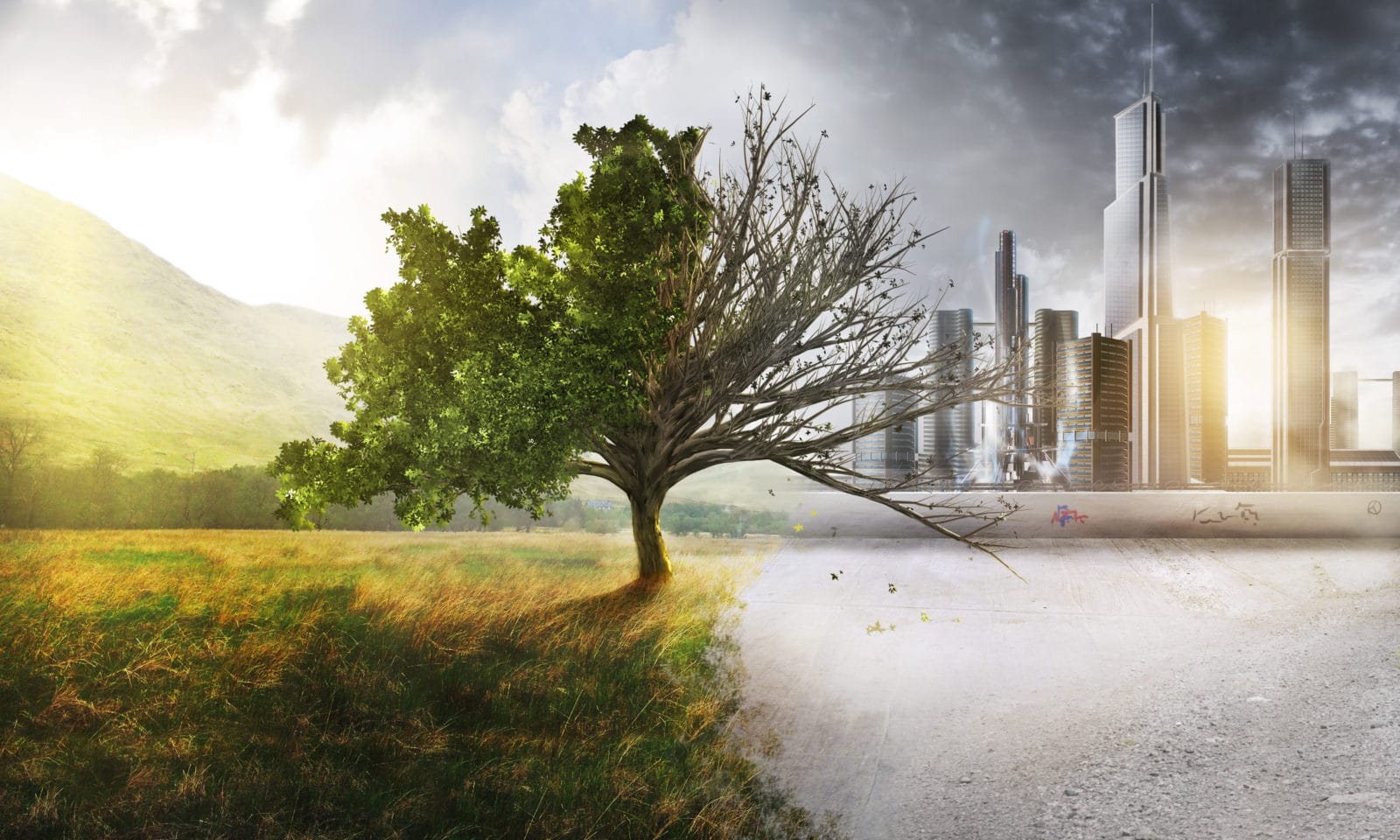 <p>воздействие, влияние</p>