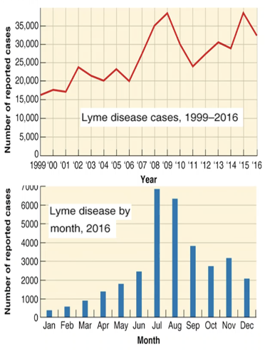 <ul><li><p><span style="font-family: &quot;ADLaM Display&quot;;"><span>Determining the etiology (cause) of disease</span></span></p></li></ul><p>&nbsp;</p><ul><li><p><span style="font-family: &quot;ADLaM Display&quot;;"><span>Identifying other important factors concerning the spread of disease</span></span></p><ul><li><p><span style="font-family: &quot;ADLaM Display&quot;;"><span>Demographic data, socioeconomic status, etc</span></span></p></li></ul></li></ul><p>&nbsp;</p><ul><li><p><span style="font-family: &quot;ADLaM Display&quot;;"><span>Developing methods for controlling disease</span></span></p><ul><li><p><span style="font-family: &quot;ADLaM Display&quot;;"><span>(control of reservoirs, food inspection, vaccination)</span></span></p></li></ul></li></ul><p>&nbsp;</p><ul><li><p><span style="font-family: &quot;ADLaM Display&quot;;"><span>Assembling data and graphs to outline the incidence of disease</span></span></p><ul><li><p><span style="font-family: &quot;ADLaM Display&quot;;"><span>Determine disease frequency</span></span></p></li><li><p><span style="font-family: &quot;ADLaM Display&quot;;"><span>Test effectiveness of disease control (vaccination)</span></span></p></li></ul></li></ul><p></p>