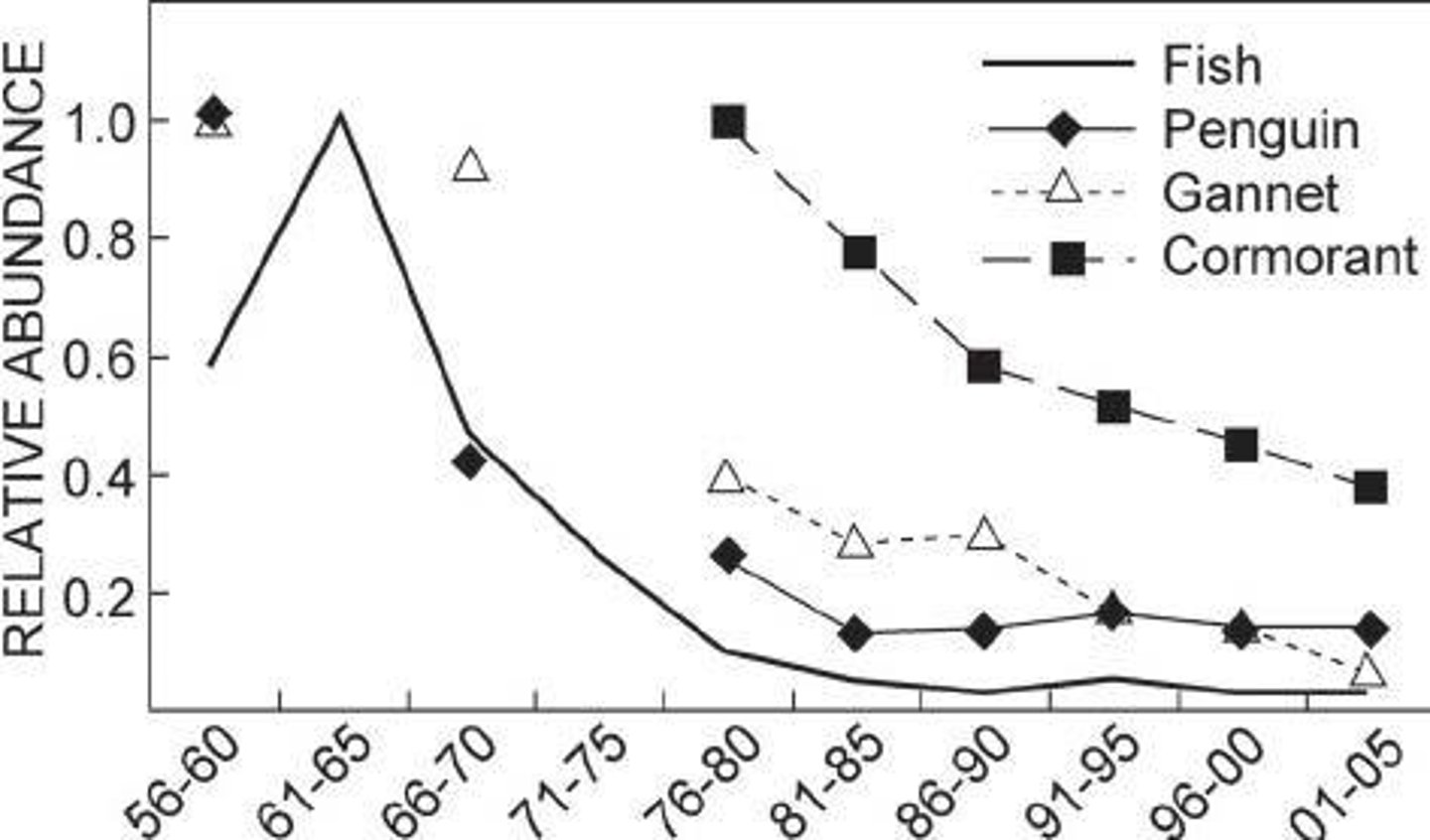 <p>Population declined from 250,000 to over 20,000 due to chick starvation</p>