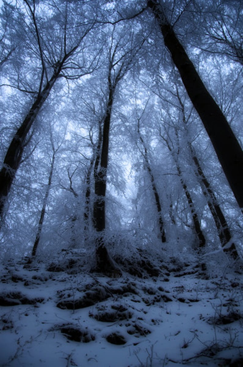 <p>el invierno</p>