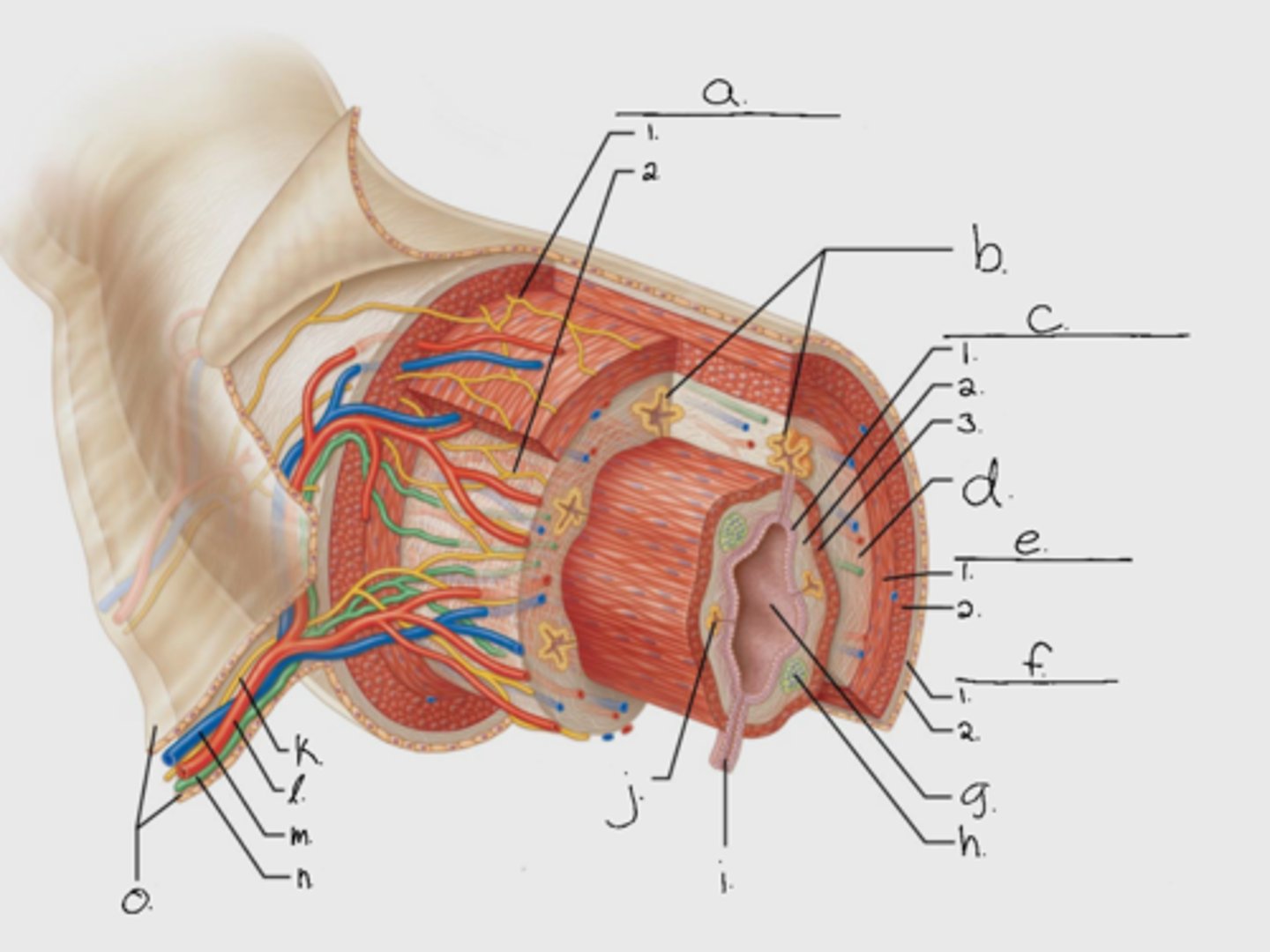<p>B</p>