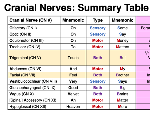 knowt flashcard image