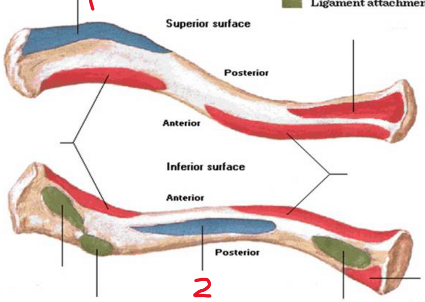 <p>1</p>