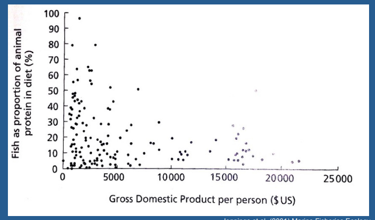 <p>What does this graph show</p>