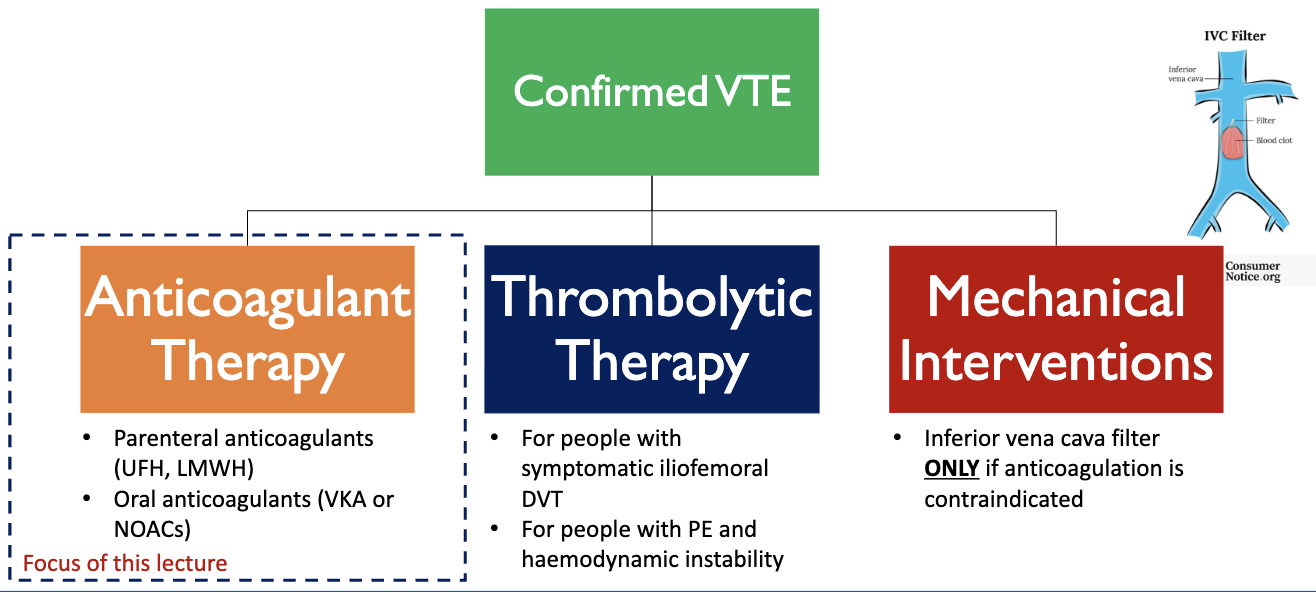 <ul><li><p>anticoagulant therapy</p><ul><li><p>parenteral anticoagulants → unfractionated heparin (UFH) or low-molecular weight heparin (LMWH)</p></li><li><p>oral anticoagulants → vitamin K antagonists (VKA) or non-vitamin K oral anticoagulants (NOAC/DOAC)</p></li></ul></li><li><p>thrombolytic therapy</p><ul><li><p>for people with symptomatic iliofemoral DVT → clot formed in the iliac femoral vein</p></li><li><p>for people with PE and haemodynamic instability (concerning changes in BP or HR → higher risk of tissue perfusion issues)</p></li></ul></li></ul><ul><li><p>mechanical interventions&nbsp;</p><ul><li><p>insert inferior vena cava filter if anticoagulation is contraindicated</p></li></ul></li></ul><p></p>