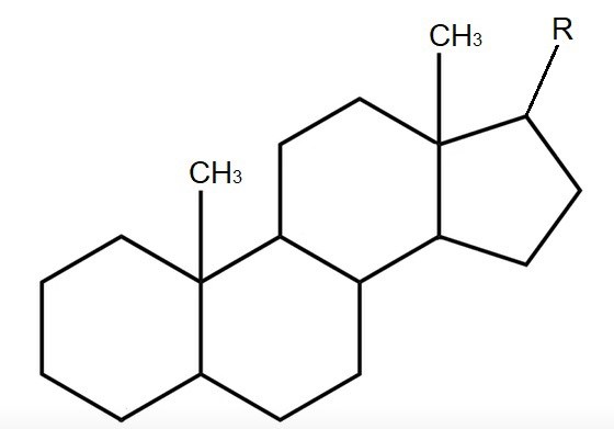 <p>Hormones that act as chemical messengers, and are used for communication to coordinate activities in the organism.</p><ul><li><p>made of four fused carbon rings</p></li></ul><p></p>
