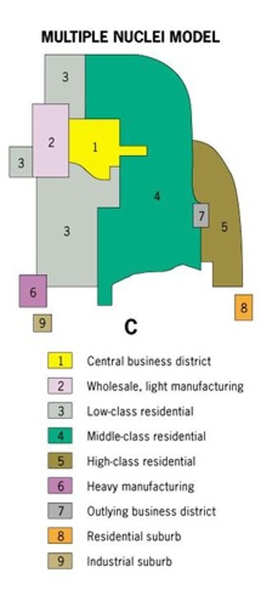 <p>A spatial model showing the mid 20th century American city consisting of several land-use zones arranged around a CBD.</p>